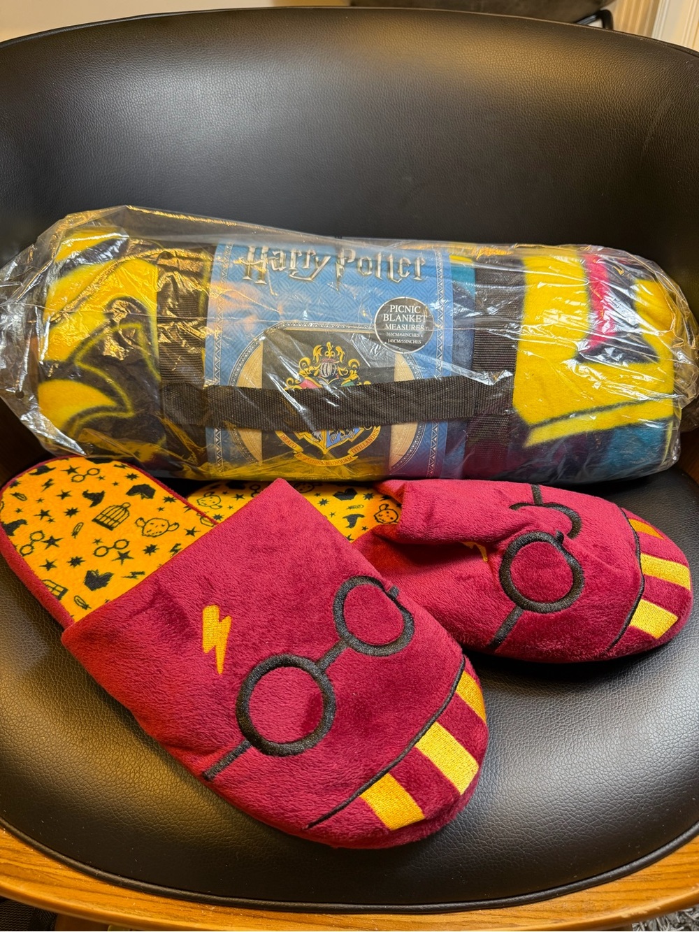 Harry Potter Set Picnic Blanket And Cozy Slipper Shoes XL